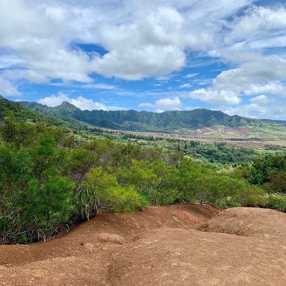 Meet your Posher, Em - Picture 1 of 1